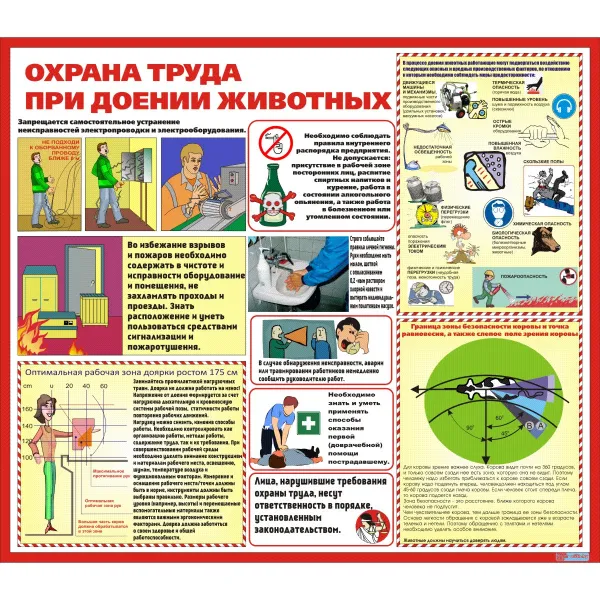 23.03 Стенд Охрана труда при доении животных купить в Минске и Беларуси